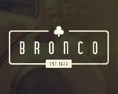 Bronco Typeface font