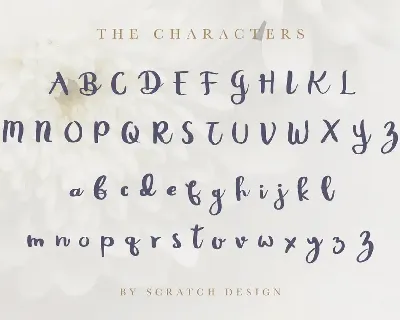 Rheydo font