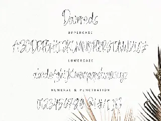 Damreds - The Beauty Handwritten Font