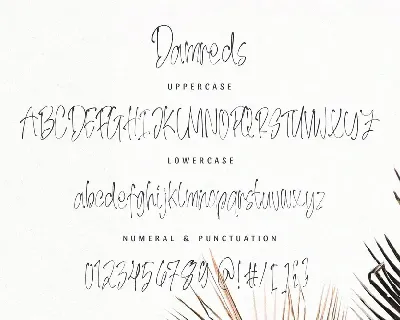 Damreds - The Beauty Handwritten Font