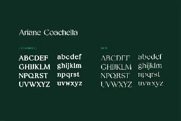 Ariane Coachella Serif Family Font