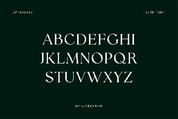 Ariane Coachella Serif Family Font