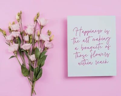 Magenta Basket Script Font