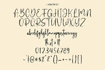 Sollesty Script Font