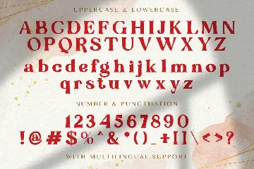 Rose Quay - Elegant Serif Font
