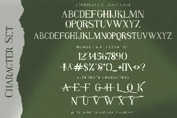 JHINBEY - Elegant Serif Font