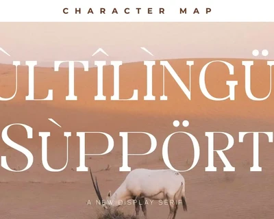 Bidgeto A New Display Serif Font
