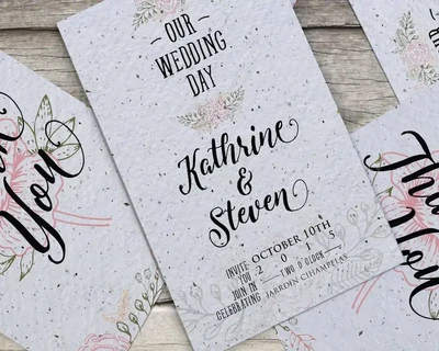 Levitte Script font