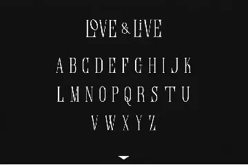 Love & Live font