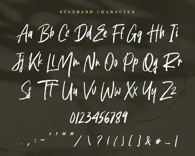 Agustine Roland - Signature Handwritten Font