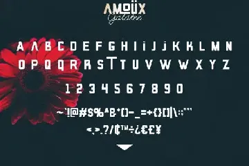 AMOÃ¶X & Galatee font