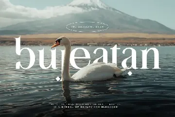 Alhadara | Modern Serif Font