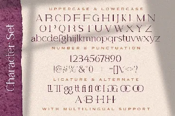 Belfina Husairy - Classic Serif Font