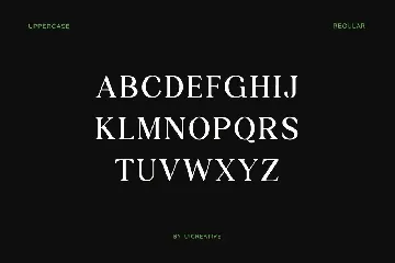 Preparatori Modern Serif Family Font