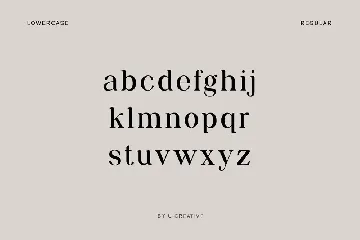 Preparatori Modern Serif Family Font