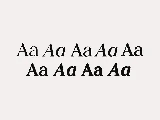 Preparatori Modern Serif Family Font