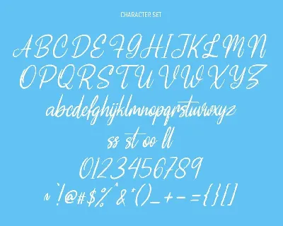 Frits Yello Script Font