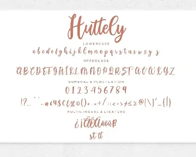 Huttely Calligraphy Business Font