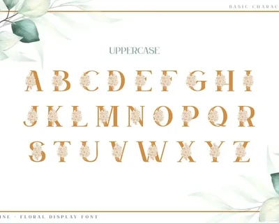 Satine-Floral Display Font