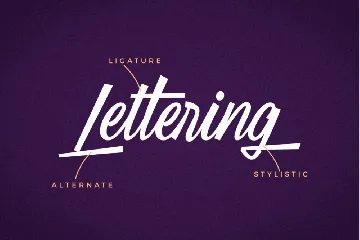 Trainitty Vintage Script font