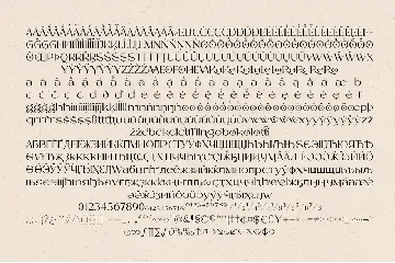 Leotaro - Serif Latin and Cyrillic font