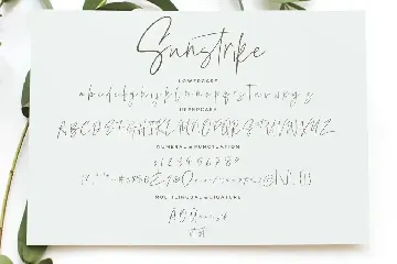 Suntrike Signature Business Font