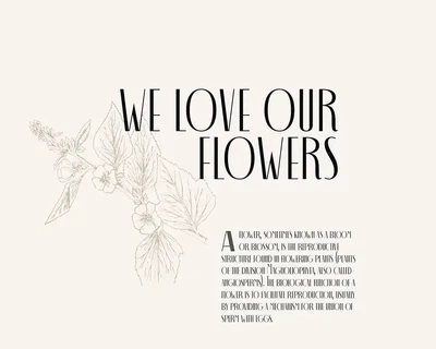 Decohead Display font