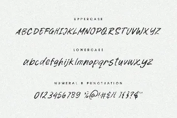 Figueres - A Script Brush Font