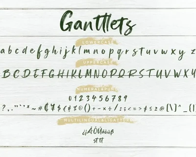 Ganttlets Brush Business Font