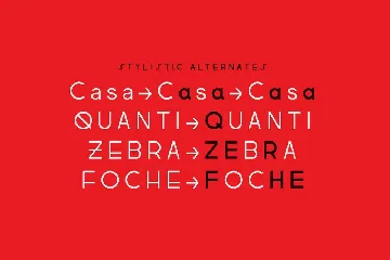 Regime Grotesk font