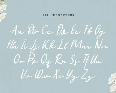 Balqis - Handwritten Siganture Modern Script Font