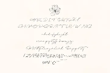 Mastrih Signature Font
