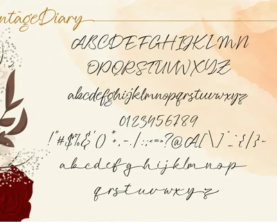 Vintage Diary Script font
