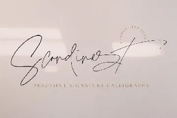 Scandinest - Beautiful Signature Style font