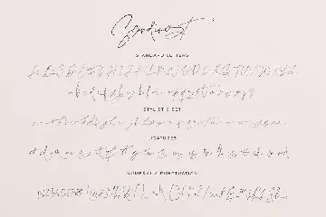 Scandinest - Beautiful Signature Style font