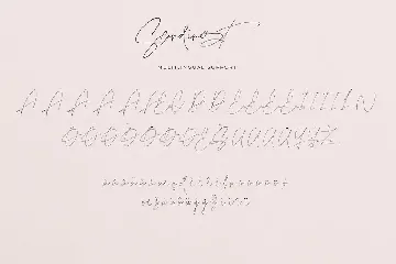 Scandinest - Beautiful Signature Style font