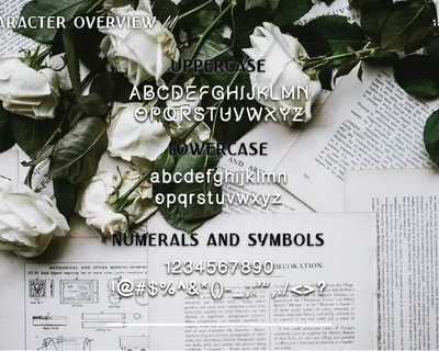 Becurly - Typeface font