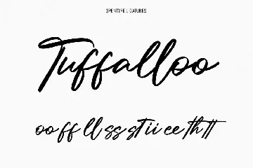 Millie Bobby Signature Script Font