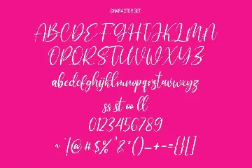 Briefstays Script Font