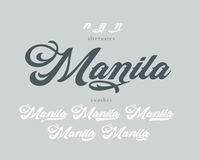 Abine - Display Script font