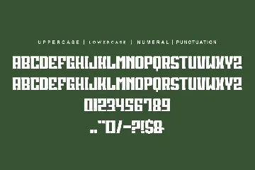 News Reposer font