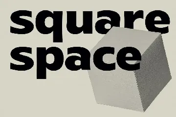 Ergonic Display Sans font