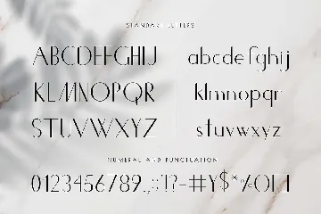 Sans Serif Font