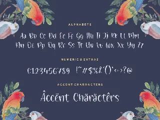 Painted Gallery Handwriting Font