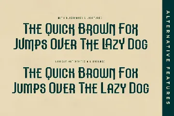 Meholrax A New Display Typeface Font