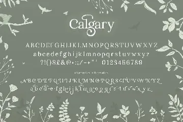 Calgary Serif Font Duo