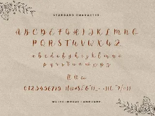 Anguela Script Modern Calligraphy Handwriting font