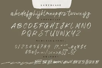 The Brands Quest Signature Brush font