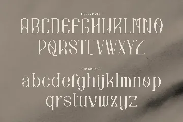 Quadrangle Stylish Serif font