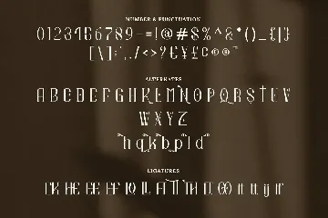 Quadrangle Stylish Serif font